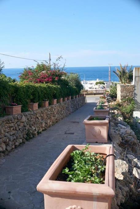 San Vito Apartament Polignano a Mare Luaran gambar